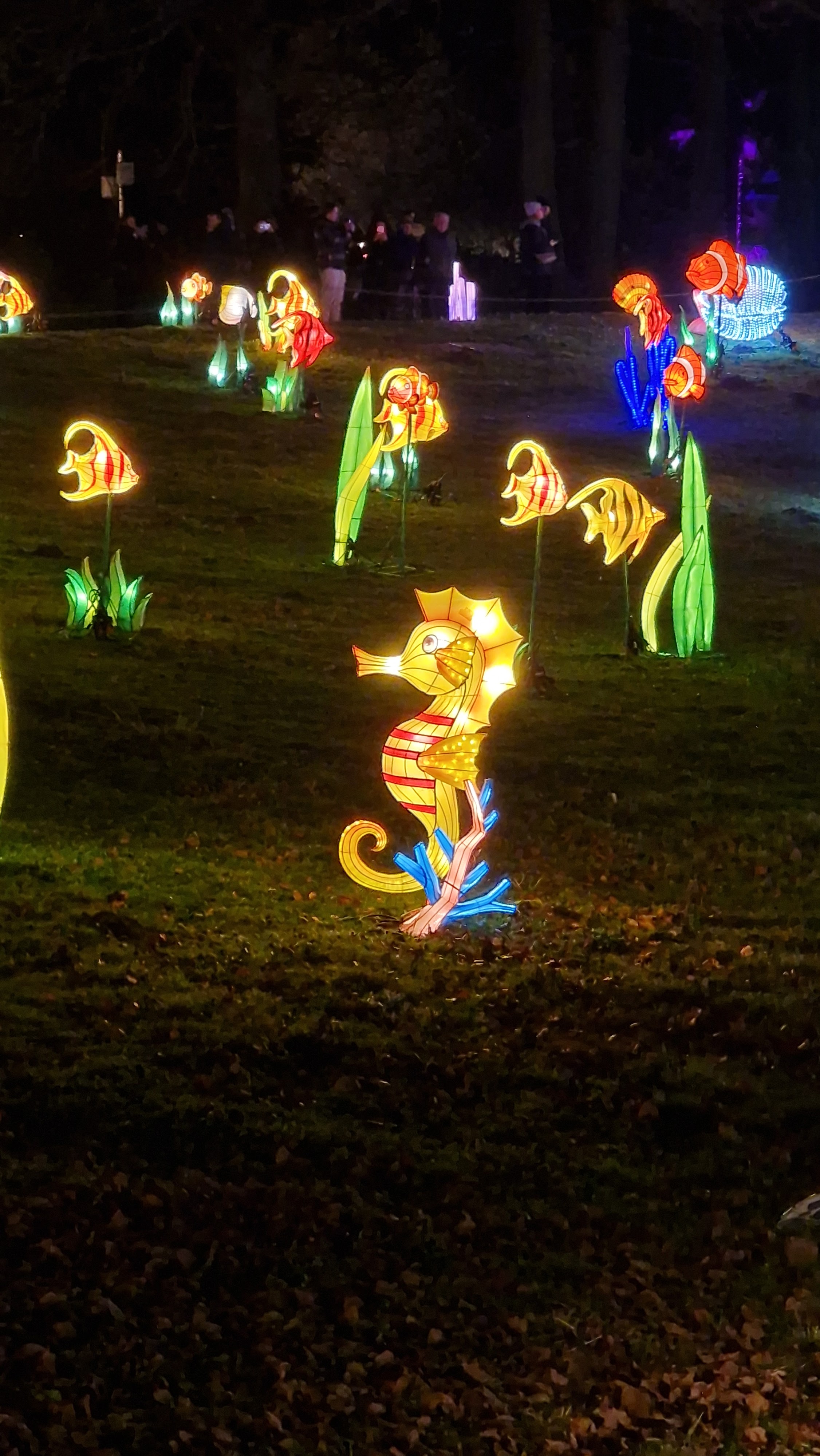 Photo n° 3 de l'avis de Marie.i fait le 29/12/2023 à 15:13