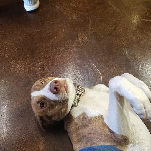 Cigar Shop «Good Karma Cigar», reviews and photos, 3411 S Loop 289, Lubbock, TX 79423, USA