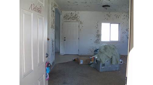 Water Damage Restoration Service «Aaa Restoration», reviews and photos, 249 4860 S, Murray, UT 84107, USA