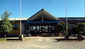 Liceo Violeta Parra