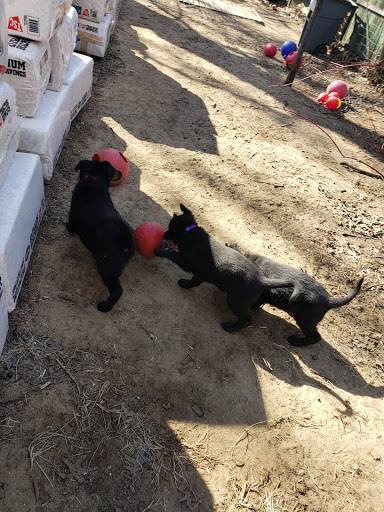 Tobacco Shop «Total Tobacco of Wayne», reviews and photos, 4908 S Wayne Rd, Wayne, MI 48184, USA