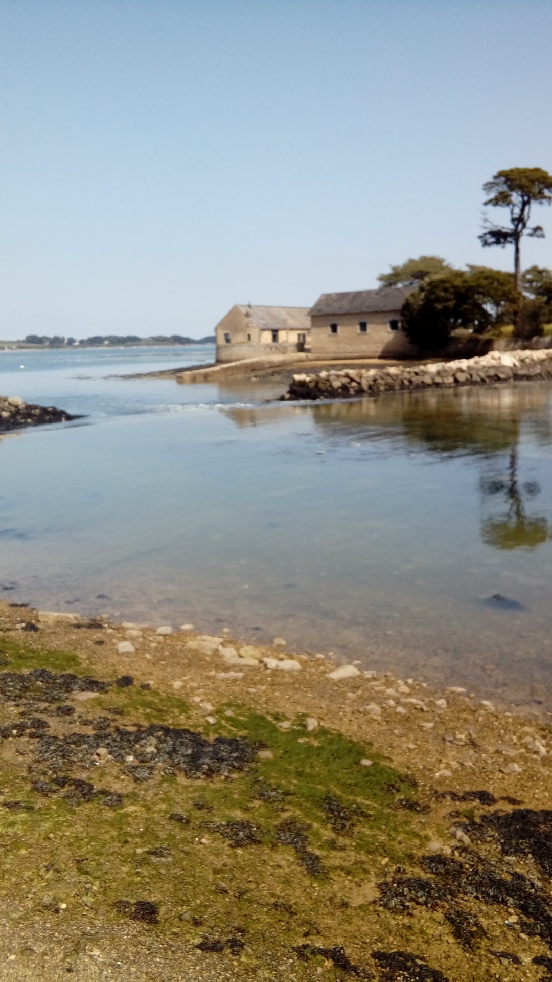 Photo n° 7 de l'avis de Mickael.o fait le 19/04/2019 à 09:11