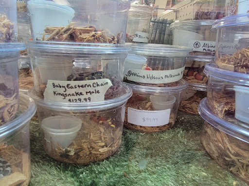 Reptile Store «LLLReptile & Supply Las Vegas», reviews and photos, 8450 W Sahara Ave #105, Las Vegas, NV 89117, USA