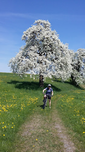 Rezensionen über Motocross Amriswil in Amriswil - Autowäsche