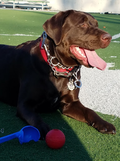 Park «Highland Park», reviews and photos, Interboro Pkwy, Brooklyn, NY 11208, USA