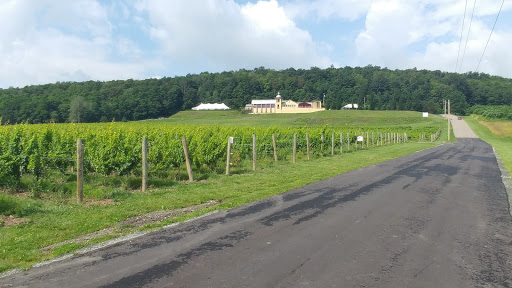 Winery «Heron Hill Winery», reviews and photos, 9301 Co Rd 76, Hammondsport, NY 14840, USA