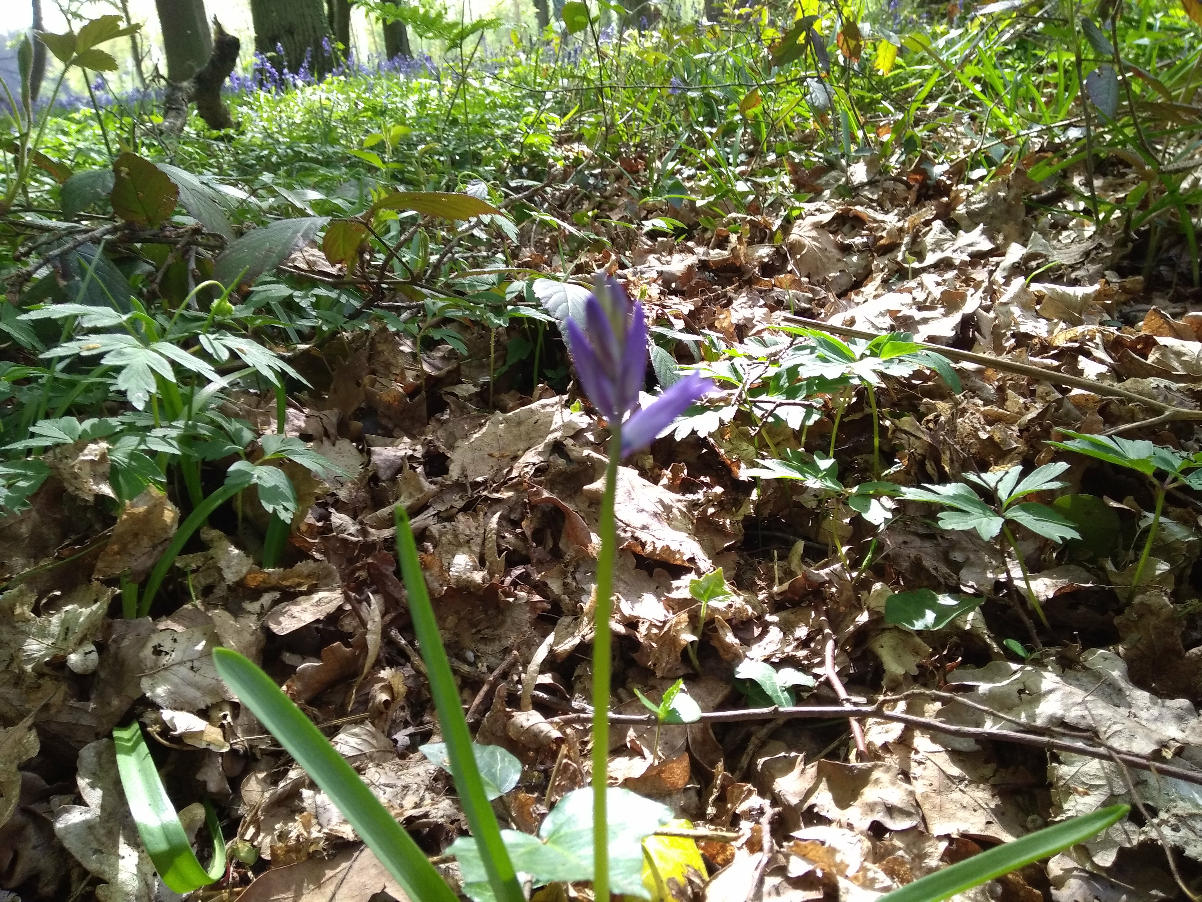 Photo n° 1 de l'avis de Le.� fait le 14/04/2017 à 16:34