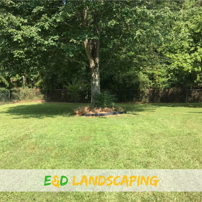 E&D Lawn Care and Landscaping Services