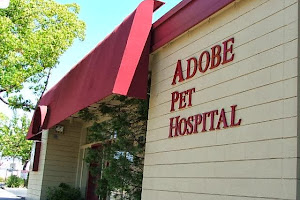 Adobe Pet Hospital