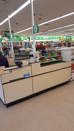 Dollar Store «Dollar Tree», reviews and photos, 3208 Kirchoff Rd, Rolling Meadows, IL 60008, USA