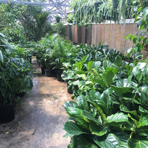 Florist «Little Eden Plantscaping», reviews and photos, 15550 W 72nd Ave, Arvada, CO 80007, USA