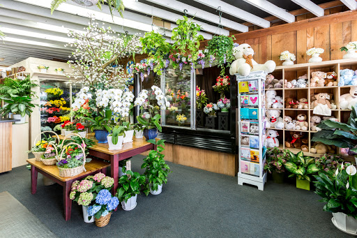 Florist «Blossom Flower Shops», reviews and photos, 275 Mamaroneck Ave, White Plains, NY 10605, USA