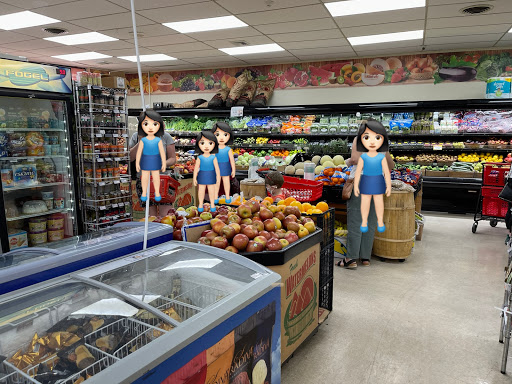 Grocery Store «Petrovsky Market», reviews and photos, 9808 Bustleton Ave Unit-L, Philadelphia, PA 19115, USA