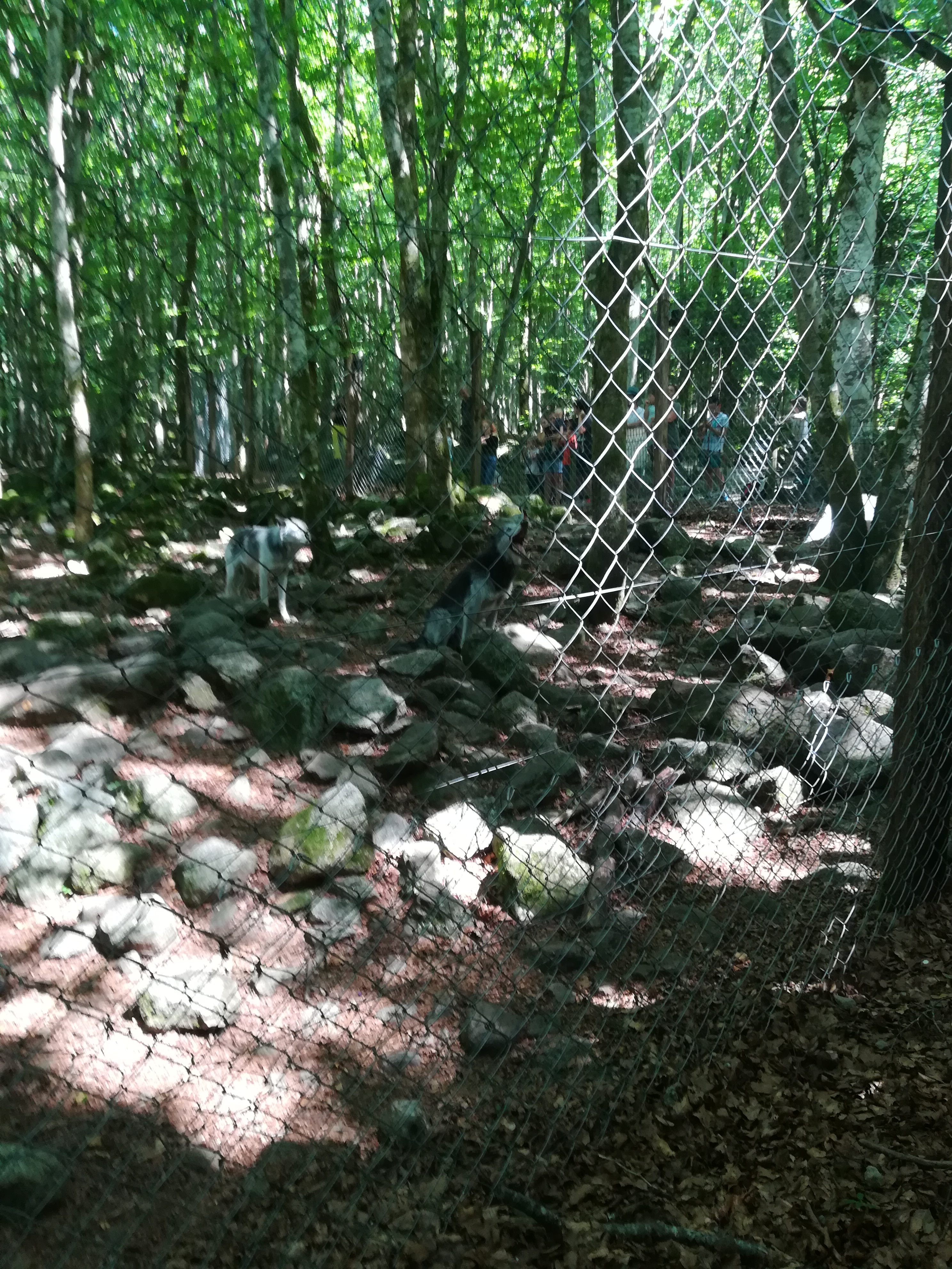 Photo n° 28 de l'avis de Audrey.� fait le 28/07/2017 à 17:11