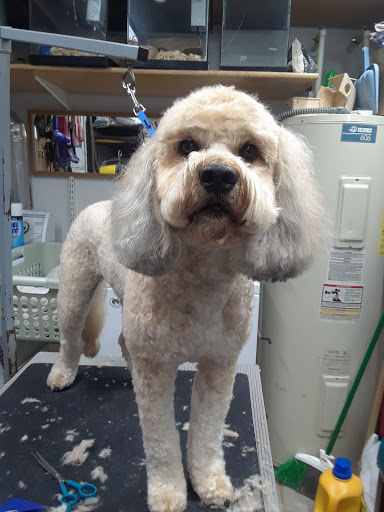 Pet Supply Store «Pets For You», reviews and photos, 413 N Main St, Rice Lake, WI 54868, USA