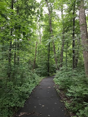 Runnymede Park - photo 88