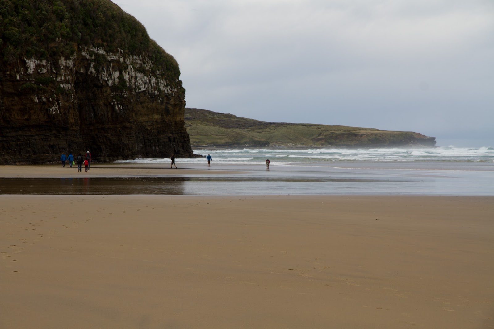 Waipati Beach的照片 带有碧绿色水表面