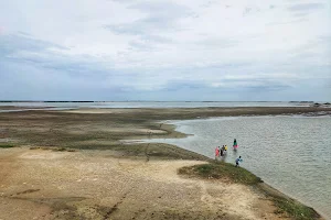 Pulicat Bird Sanctuary - Lake View Point image