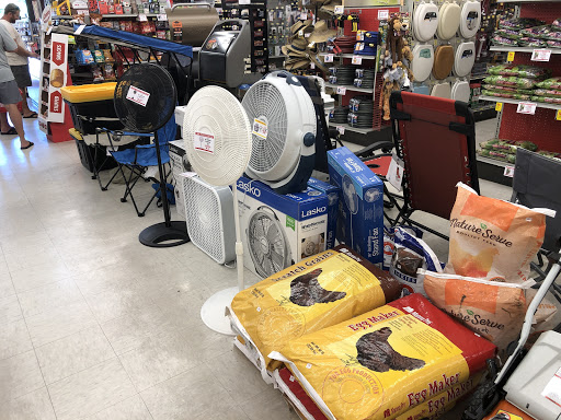 Hardware Store «Ace Hardware of Deltona», reviews and photos, 2840 Elkcam Blvd, Deltona, FL 32738, USA