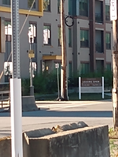 Donut Shop «Peace, Love and Little Donuts», reviews and photos, 2018 Smallman St, Pittsburgh, PA 15222, USA