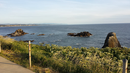 Golf Course «Agate Beach Golf Course», reviews and photos, 4100 N Coast Hwy, Newport, OR 97365, USA