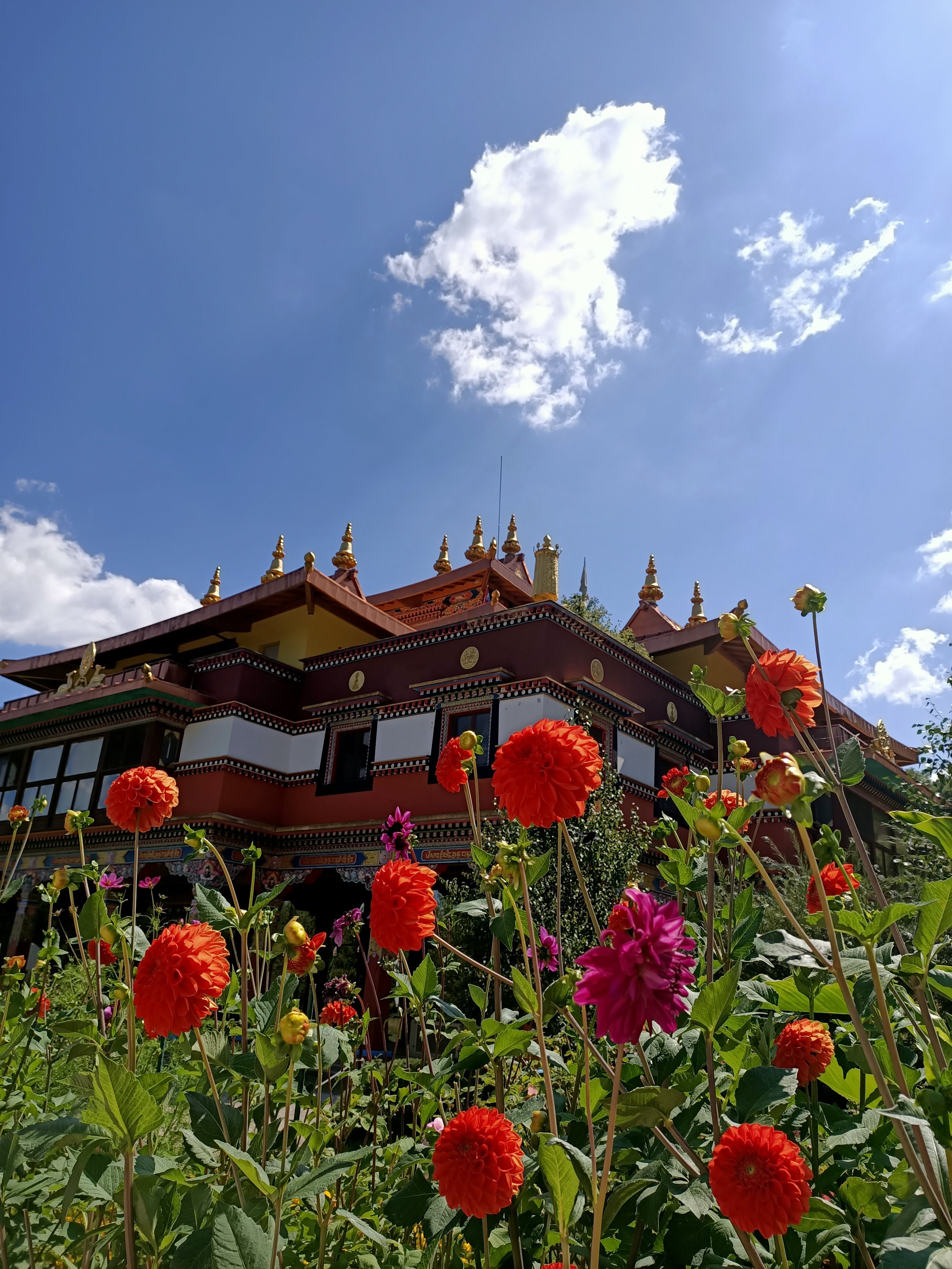 Photo n° 3 de l'avis de Mélanie.e fait le 30/08/2019 à 21:16