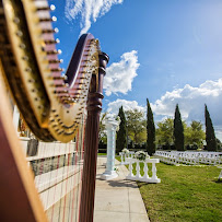 Tampa Harpist Kristen Elizabeth - Photo 6 - Car repair in , Brandon