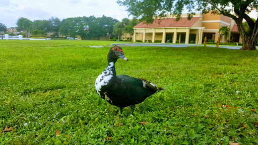 Shopping Mall «Promenade Shopping Plaza», reviews and photos, 9840 FL A1AAlt, Palm Beach Gardens, FL 33410, USA