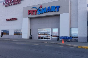 PetSmart image