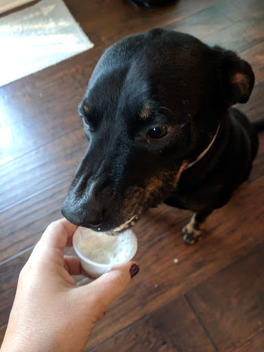 Coffee Shop «Whistle Stop Java Shop», reviews and photos, 400 4th St W, Milan, IL 61264, USA