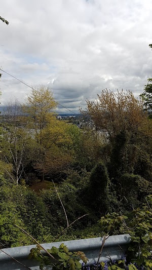 Thomas C. Wales Park - photo 51