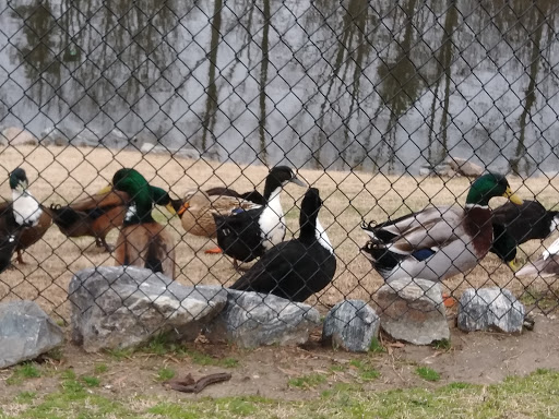 Fast Food Restaurant «Chick-fil-A», reviews and photos, 815 England St, Ashland, VA 23005, USA