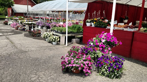 Produce Market «Sunscape Farms», reviews and photos, 1420 Creek St, Rochester, NY 14625, USA