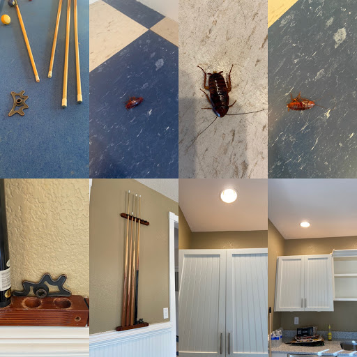 Real Estate Agency «Outer Beaches Realty», reviews and photos, 40227 Tigrone Blvd, Avon, NC 27915, USA