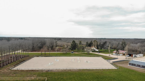 Ecurie Walter Lapertot - Ecole d'équitation WL à Jouy-le-Potier