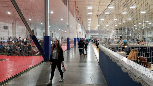Sports Complex «Incrediplex», reviews and photos, 6002 Sunnyside Rd, Indianapolis, IN 46236, USA