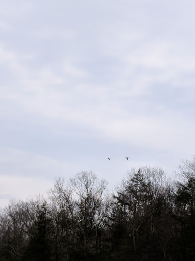 Nature Preserve «John Burroughs Slabsides», reviews and photos, Burroughs Dr, West Park, NY 12493, USA