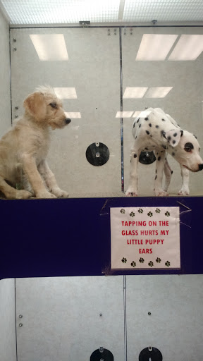 Pet Store «Pet City Pet Shops», reviews and photos, 750 Citadel Dr N # 2092, Colorado Springs, CO 80909, USA