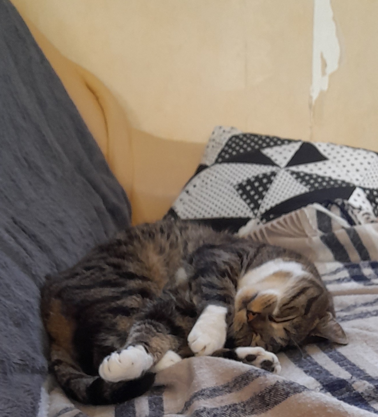 Photo n° 1 de l'avis de Laetitia.a fait le 29/03/2023 à 17:18