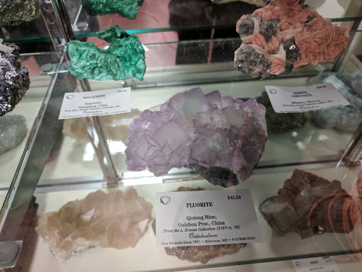 Natural History Museum «Natural History Society of Maryland», reviews and photos, 6908 Belair Rd, Baltimore, MD 21206, USA