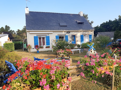 Fleur des Champs à Saint-Molf