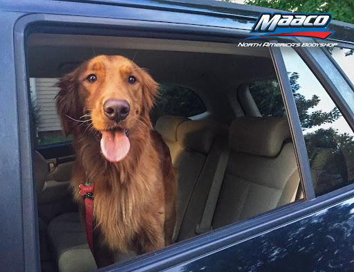 Auto Body Shop «Maaco Collision Repair & Auto Painting», reviews and photos, 6315 South Blvd, Charlotte, NC 28217, USA