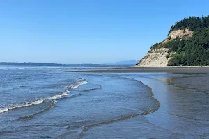 Double Bluff Beach and Off Leash Area image