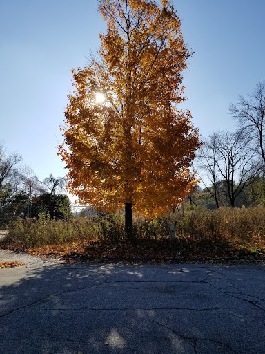 Public Golf Course «Hansen Park Golf Course», reviews and photos, 9800 Underwood Pkwy, Wauwatosa, WI 53226, USA