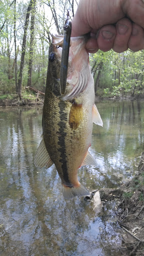 Country Club «Lebanon Golf & Country Club», reviews and photos, 1300 Coles Ferry Pike, Lebanon, TN 37087, USA