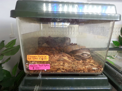 Pet Supply Store «Pet Station Jackson», reviews and photos, 1617 E Michigan Ave, Jackson, MI 49202, USA