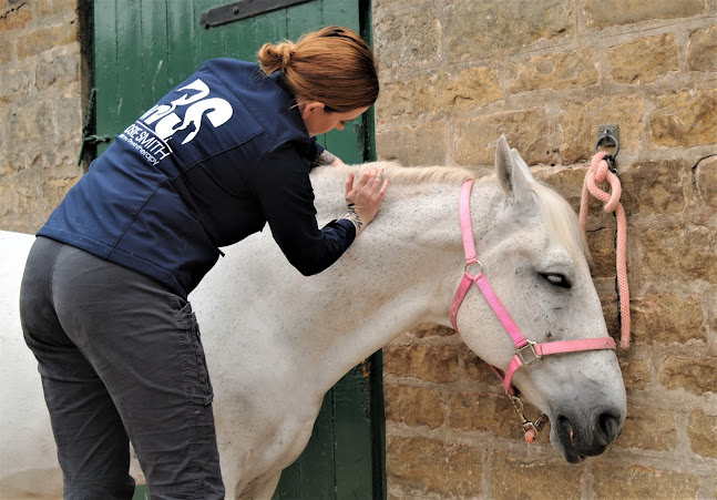 Stable Gait Veterinary Physiotherapy - Veterinarian