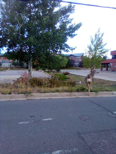 Shopping Mall «Bergen Village Shopping Center», reviews and photos, 1240 Bergen Pkwy, Evergreen, CO 80439, USA