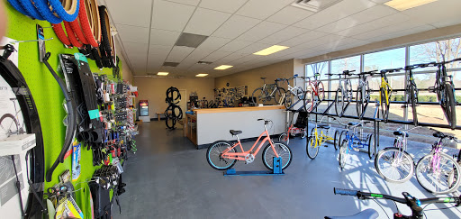 Bicycle Store «West Georgia Cycling», reviews and photos, 415 Bradley St, Carrollton, GA 30117, USA
