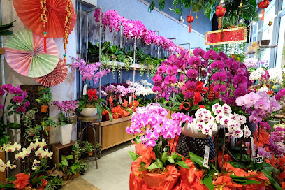Orchid Culture The Gardens Mall | Orchid Gift Boutique